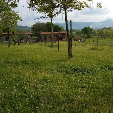 Agriturismo Le Bacche Di Ginepro * Migliaro