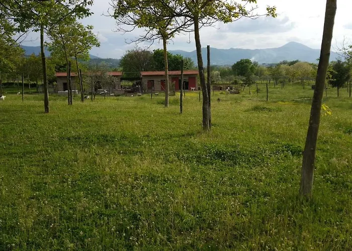 Agriturismo Le Bacche Di Ginepro * Migliaro